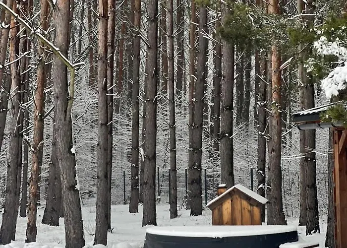 Дом отдыха Dom Pod Lasem Z Prywatnym Basenem I Balia